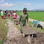 Pembangunan Talud ditengah persawahan warga desa Tawang, Kec. Weru ditujukan untuk peningkatan perekonomian