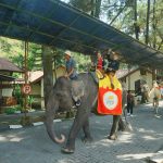 Meriahkan HUT RI Ke-78, Ini Yang Dilakukan Royal Safari Garden